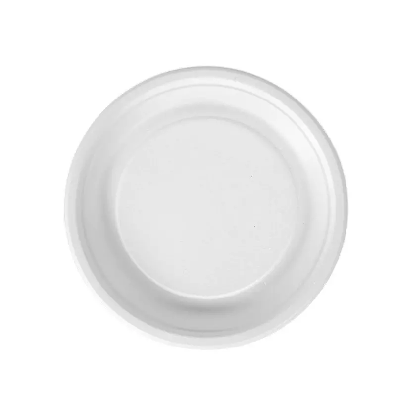 Eco Infinity Disposable Plate Round Shape White Sugarcane Bagasse 11 Inch (27.94 cm) Size for Serving Snack & Dinner Foods, (Pack of 25 Pcs)