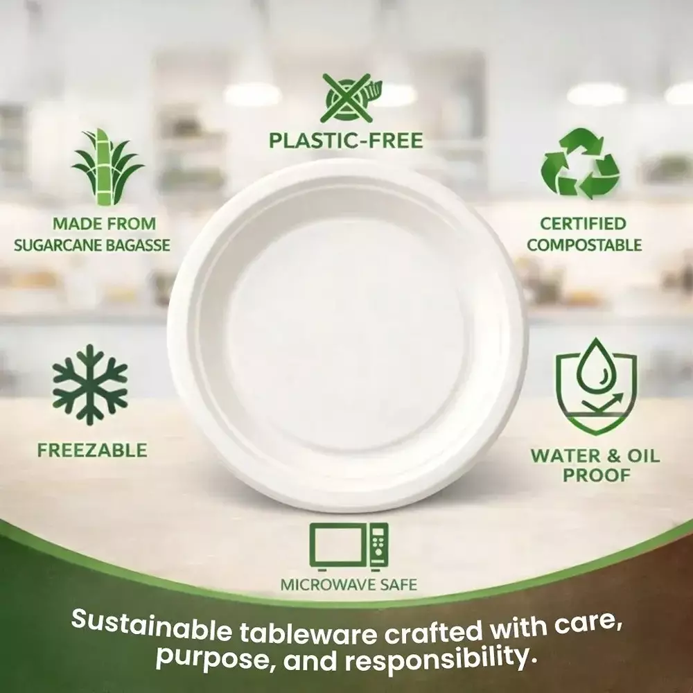 eco-aaroyaa-1-compartment-disposable-plate-sugarcane-bagasse-matte-finish-white-round-shape-10-inch-254-cm-size-for-serving-snack-dinner-foods-pack-of-25-pcs
