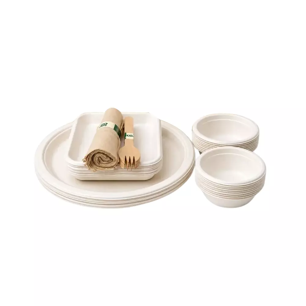 Eco Aaroyaa Insta Party Pack Sugarcane Bagasse Smooth Finish White for 10 People Serving