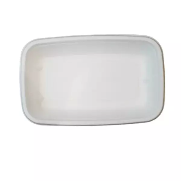 Eco Aaroyaa Mini Tray Sugarcane Bagasse White for Serving Snack & Foods, (Pack of 50 Pcs)