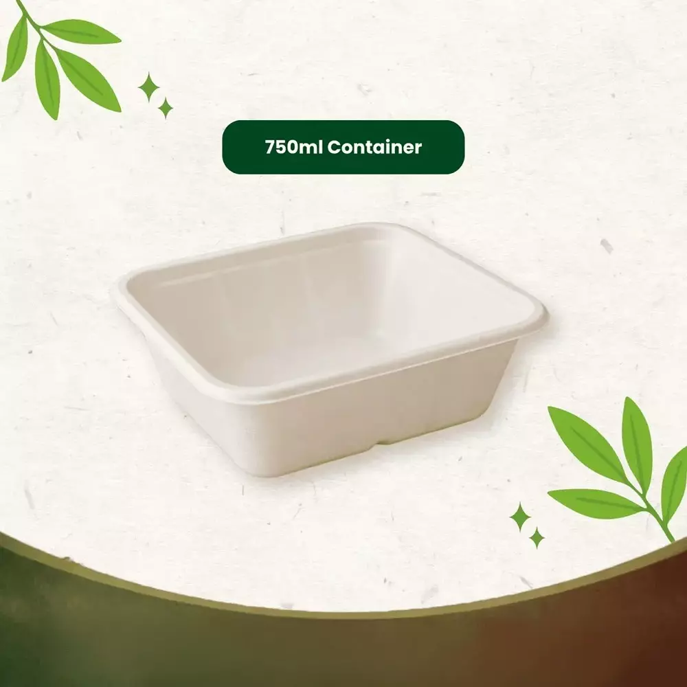 eco-aaroyaa-container-with-lid-sugarcane-bagasse-white-750-ml-capacity-for-serving-snack-dinner-foods-pack-of-25-pcs