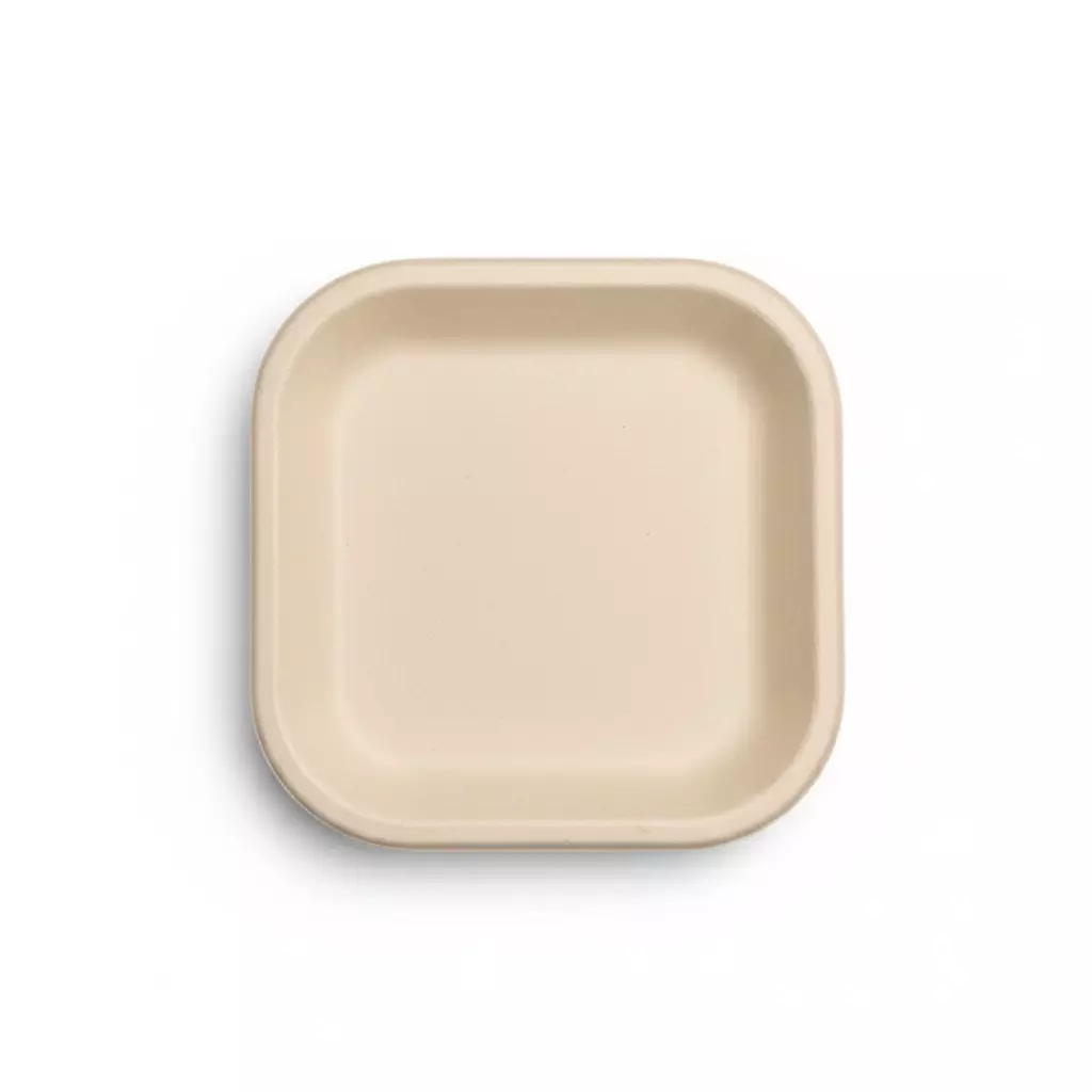 Origami Pulp Plates 178 mm (7 inch) Biodegradable & Eco-friendly Sugarcane Paper White, 1307 (Pack of 10 Packets)