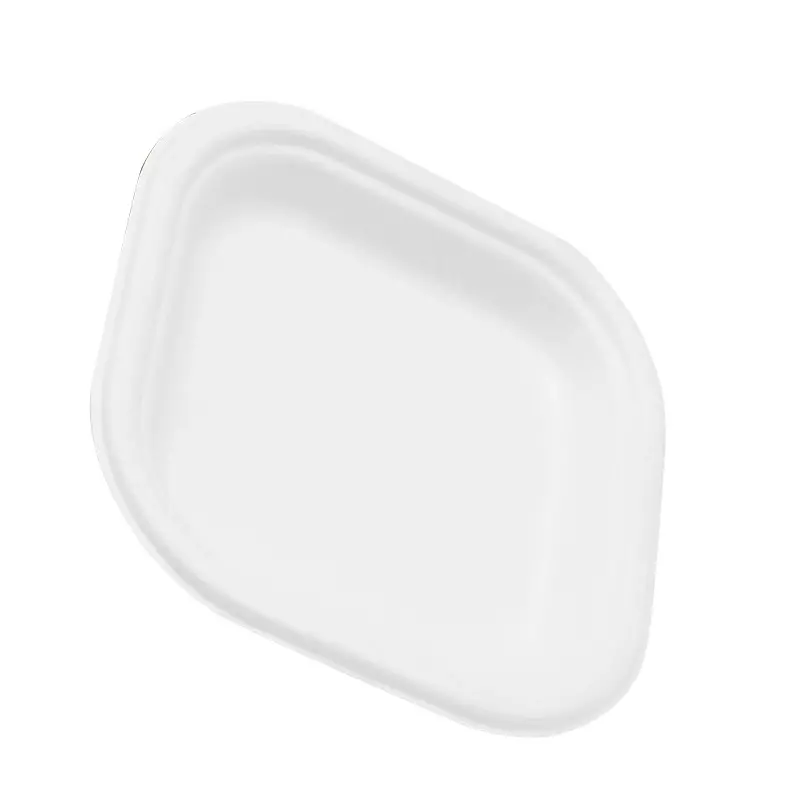 Eco Infinity Disposable Plate Square Shape White Sugarcane Bagasse 6 Inch (15.24 cm) Size for Serving Snack & Dinner Foods, (Pack of 50 Pcs)