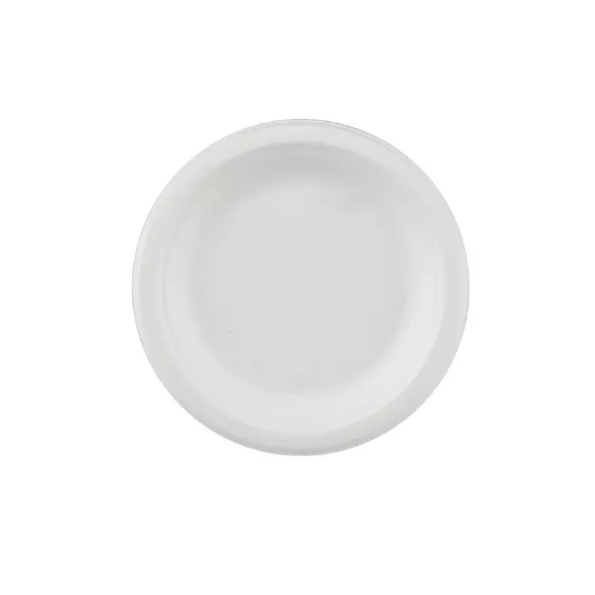 GENERIC 228.6 mm(9 Inch) Eco-friendly and Biodegradable Disposable Plates (Pack of 500)
