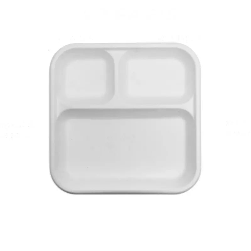 Eco Infinity 3 Compartment Sectioned Disposable Plate Rectangle Shape White Sugarcane Bagasse 9 Inch (22.86 cm) Size for Serving Snack & Dinner Foods, (Pack of 25 Pcs)