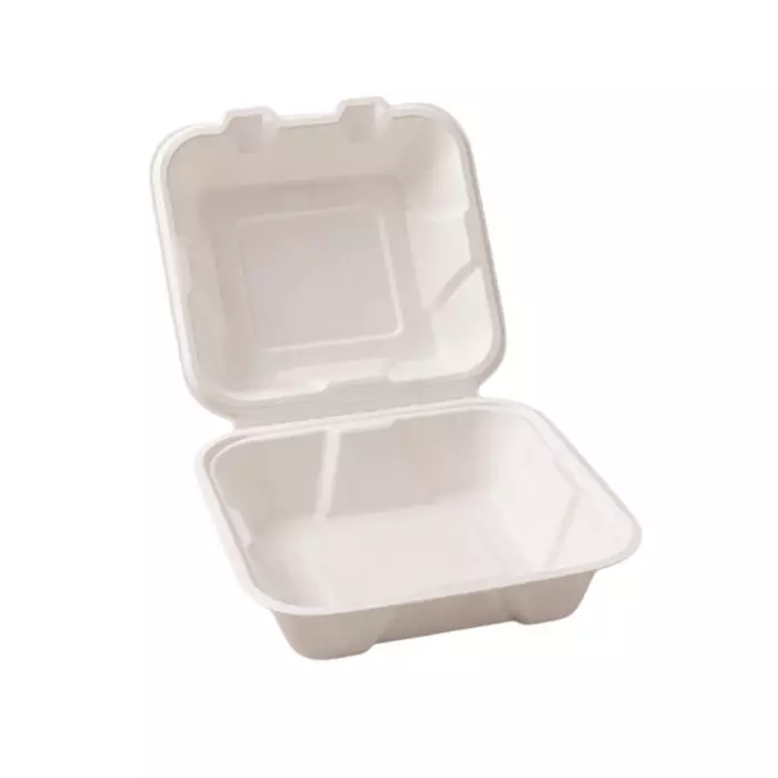 Eco Aaroyaa 6x6 Clamshell Container Sugarcane Bagasse White for Serving Snack & Foods, (Pack of 50 Pcs)