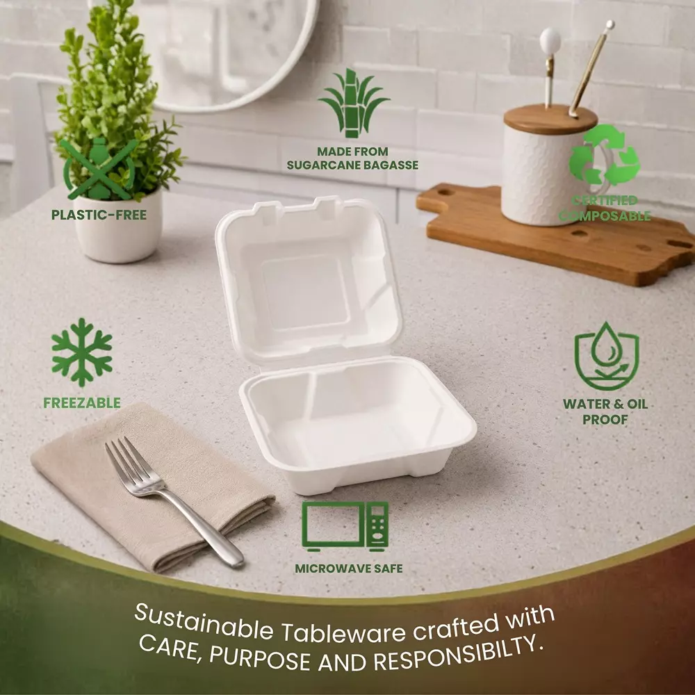 eco-aaroyaa-6x6-clamshell-container-sugarcane-bagasse-white-for-serving-snack-dinner-foods-pack-of-50-pcs