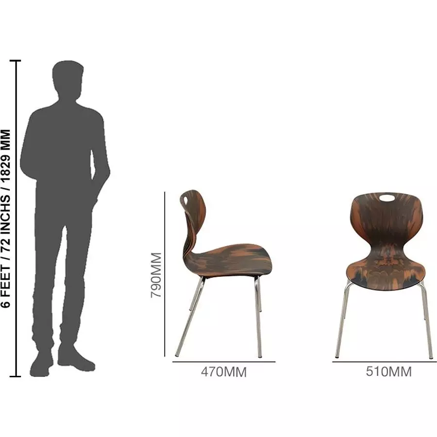 swagath-chair-armless-wenge-meduim-back-style-for-indoor-outdoor-cafeteria-use-bloom-ss-l-pack-of-2-pcs