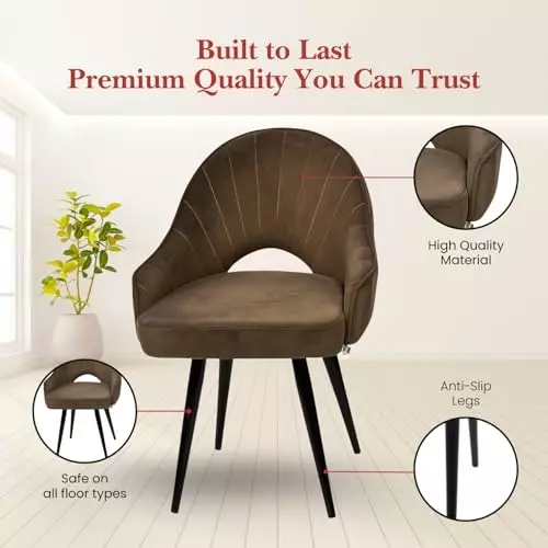 activa-rosy-multipurpose-chair-with-anti-slip-legs-curved-mid-back-velvet-choco-for-kitchen-home-bar-cafe