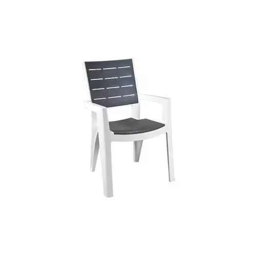 Italica Designer Plastic Chair With Arm White S.Grey Color, 5115