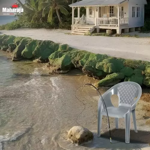 maharaja-premium-chair-with-arm-rest-ergonomic-design-silver-plastic-for-home-school-garden-office-surya601_silver-pk6-pack-of-6-pcs