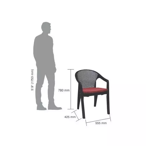 italica-oxy-series-plastic-arm-rest-chair-with-cushion-black-color-5202-luxury