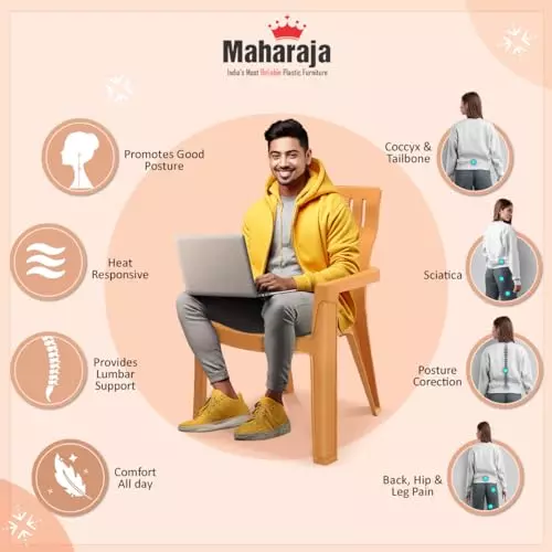 maharaja-chair-with-arm-rest-modern-stylish-design-200-kg-bearing-capacity-antique-gold-plastic-for-home-school-garden-office-fortuner_a-gold-pk6-pack-of-6-pcs