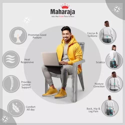 Maharaja Arm Rest Plastic Chair 200 Kg Bearing Capacity Silver, Fortuner_Silver-PK6 (Set of 6)