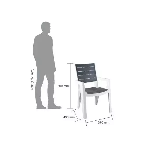 italica-designer-plastic-chair-with-arm-white-sgrey-color-5115-set-of-4