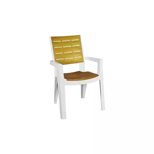 Italica Designer Plastic Chair With Arm White Gold Color, 5115 (Pack of 2)