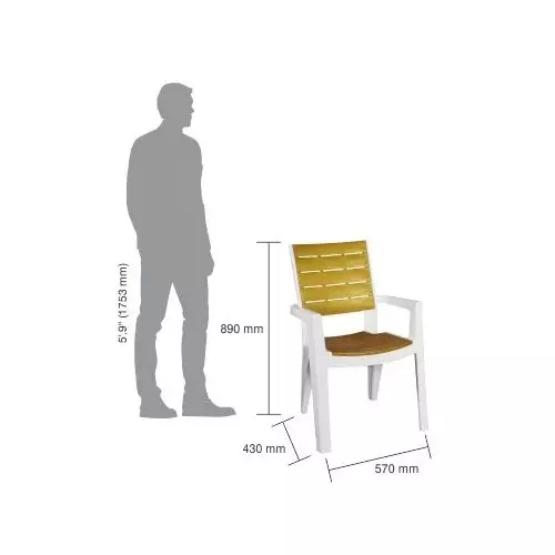 italica-designer-plastic-chair-with-arm-white-gold-color-5115-set-of-6