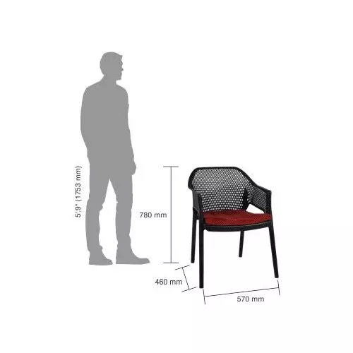 italica-luxury-designer-plastic-arm-chair-with-cushion-black-color-1209-luxury