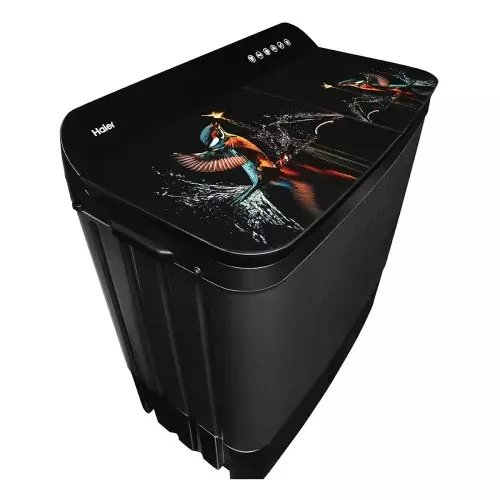 haier-9-kg-top-load-semi-automatic-washing-machine-black-htw90-178fl
