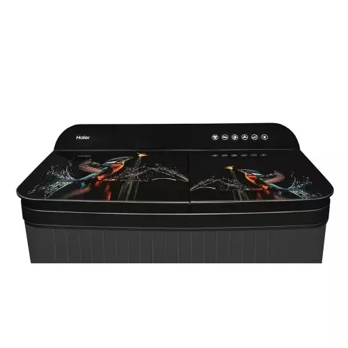haier-9-kg-top-load-semi-automatic-washing-machine-black-htw90-178fl