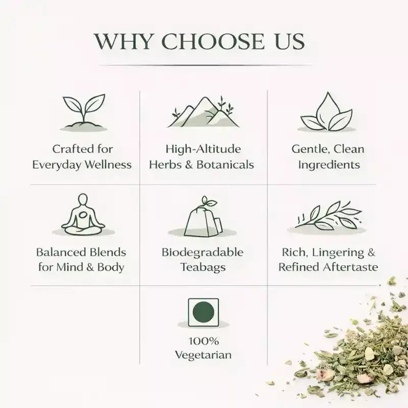 brinita-herbal-spice-chai-green-tea-caffeine-free-teabags-for-improve-immunity-power-or-weight-loss-pack-of-25-pcs-bag