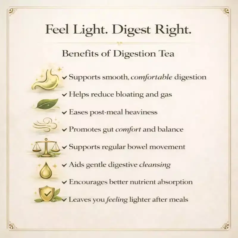 brinita-digestion-elixir-green-tea-low-caffeine-teabags-for-improve-immunity-power-or-weight-loss-pack-of-25-pcs-bag