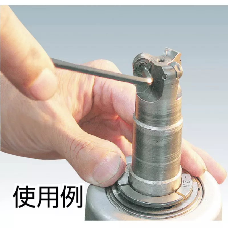 trusco-hex-robe-allen-key-t27h-bit-ttw-27h