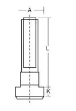Unique 250mm T Bolt 16mm x M16 U29-33