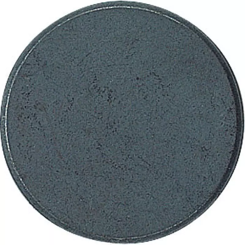 Shinwa Rules Mug Chip Round Magnet Φ30x5 mm, 72220 (Set of 2 Pcs)