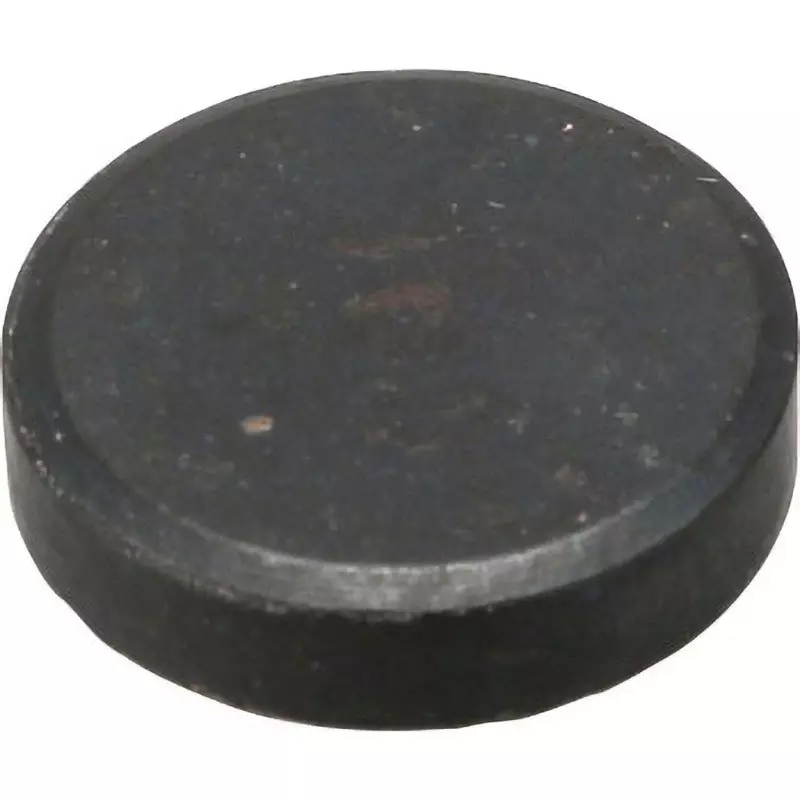 Shinwa Rules Mug Chip Round Magnet Φ15x4 mm, 72151 (Set of 6 Pcs)