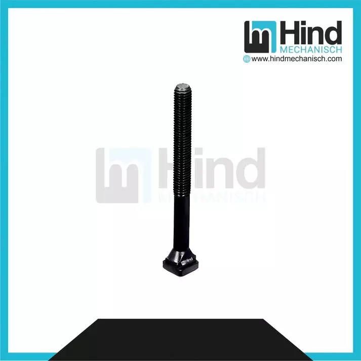HINDMECHANISCH 18x125 mm Carbon Steel Forged Head T Bolt, HM- TB18 (Pack of 10)