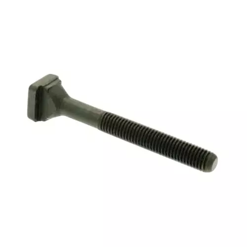 CE Black Metal T-Bolt Size 20X22X110 mm for Industrial Usage