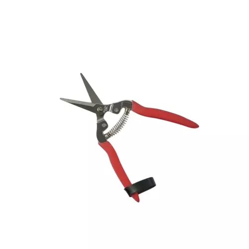 Sunya Straight Fruit Snips With PVC Handle 190 mm (19 cm) length Steel Blade 140 g, TOAC021CV