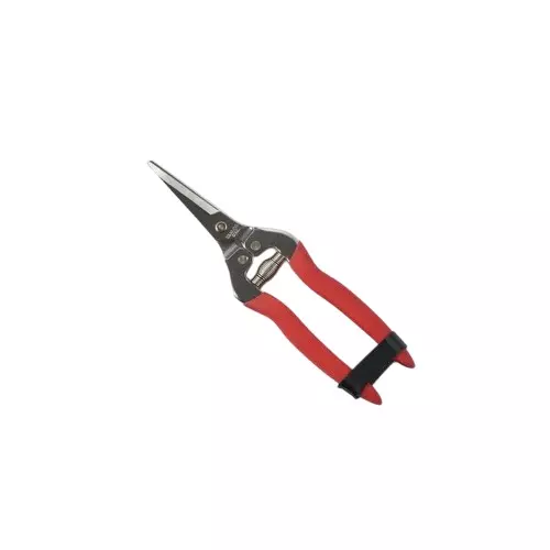 Sunya Straight Fruit Snips With PVC Handle 190 mm (19 cm) length Steel Blade 140 g, TOAC021CV