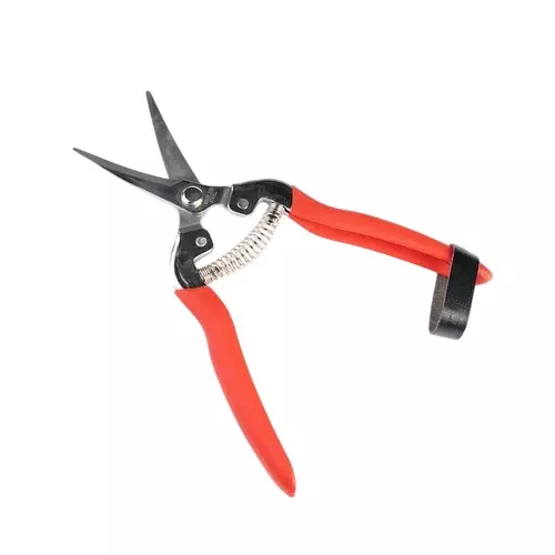 Sunya Curved Fruit Snips With PVC Handle 190 mm (19 cm) length Steel Blade 140 g, TOAC021ST