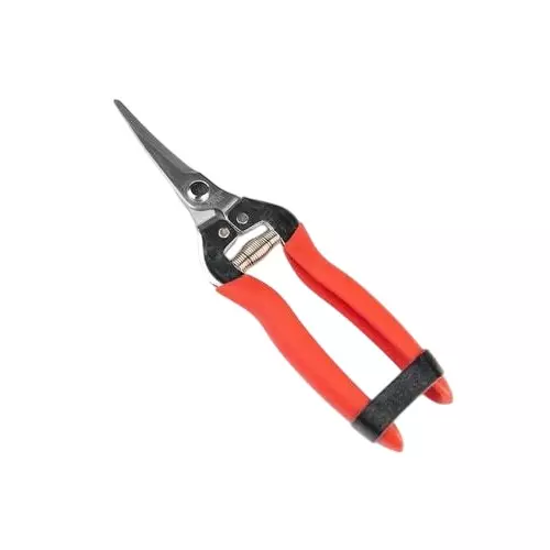 Sunya Curved Fruit Snips With PVC Handle 190 mm (19 cm) length Steel Blade 140 g, TOAC021ST