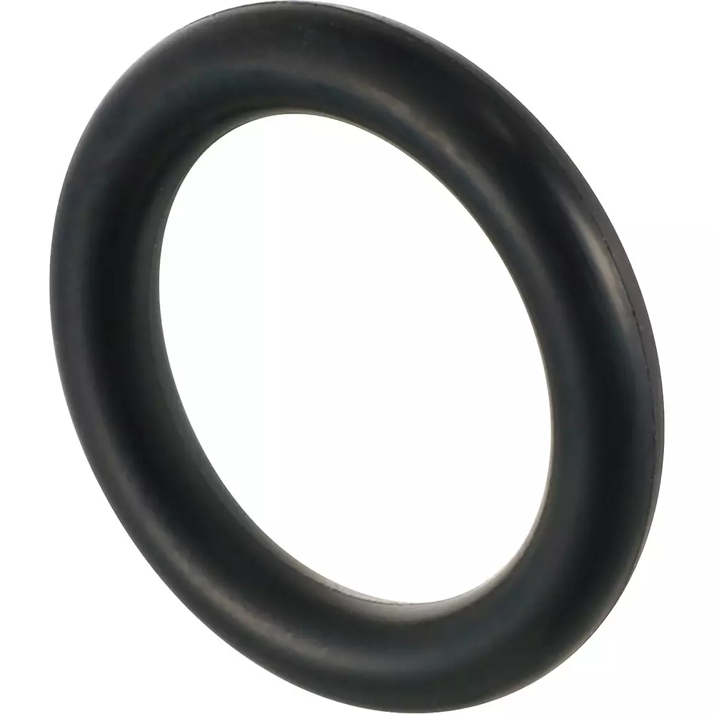 Vessel O-Ring 15 mm Overall Length, 814224