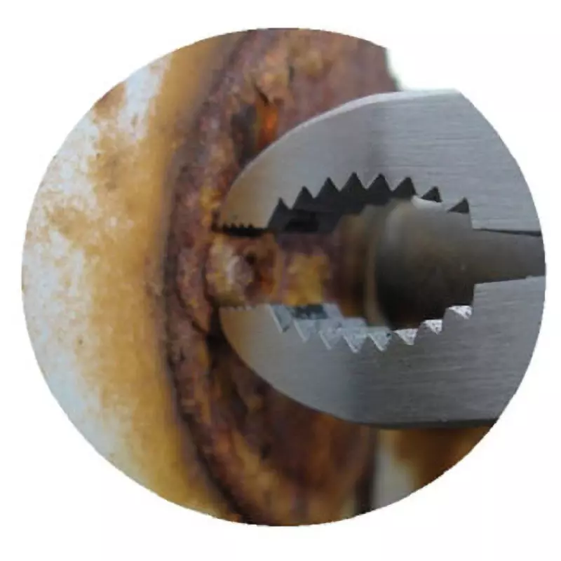 lobster-lobtex-screw-anguirus-170-mm-overall-length-na175