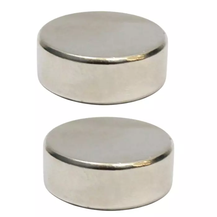 GENERIC Neodymium Iron Boron Magnet (Nd₂Fe₁₄B) 25x10 mm (Pack of 2 Pcs)