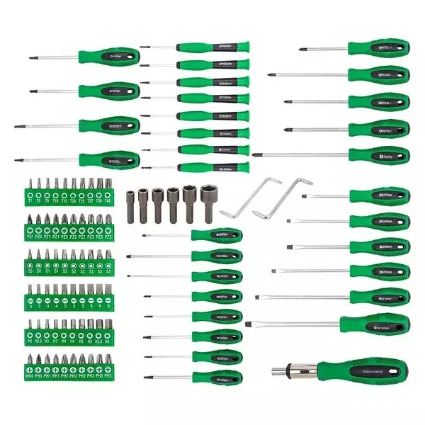 Rock Force Screwdriver Set with Bits CrV Straight Rod PH, SL, PZ, S, T 50 - 150 mm Length, RF-10100 (Pack of 100 Pcs)