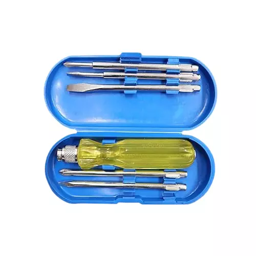 FAIRBIZPS 5-in-1 Magnetic Screwdriver Set with Tester – Slotted, Phillips & Poker Tips for Home & Office Use, FBSD25