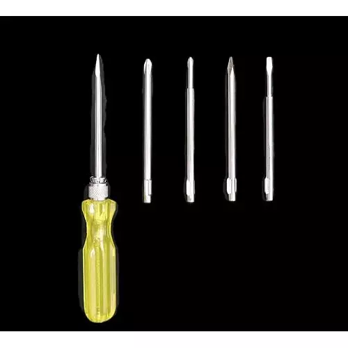 FAIRBIZPS 5-in-1 Magnetic Screwdriver Set with Tester – Slotted, Phillips & Poker Tips for Home & Office Use, FBSD25