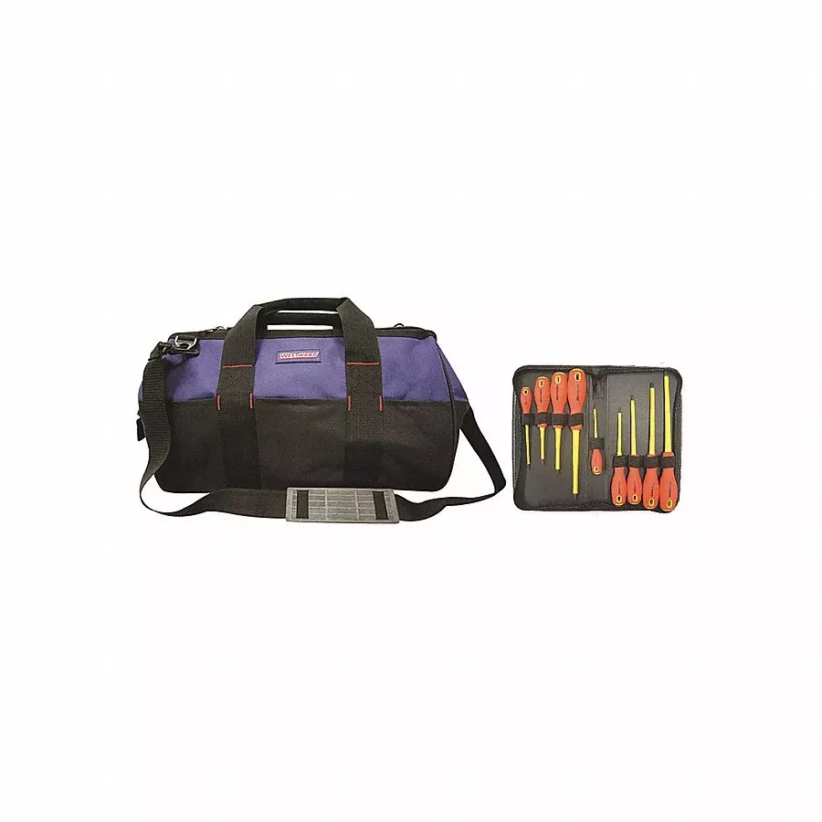 Buy Westward Insulated Phillips/Slotted Tip Screwdriver Set, 7CZ69