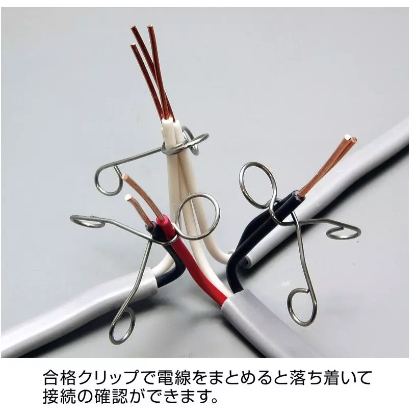 hozan-11-pcs-electrician-skill-test-tool-set-300x140x180-mm-dk-17