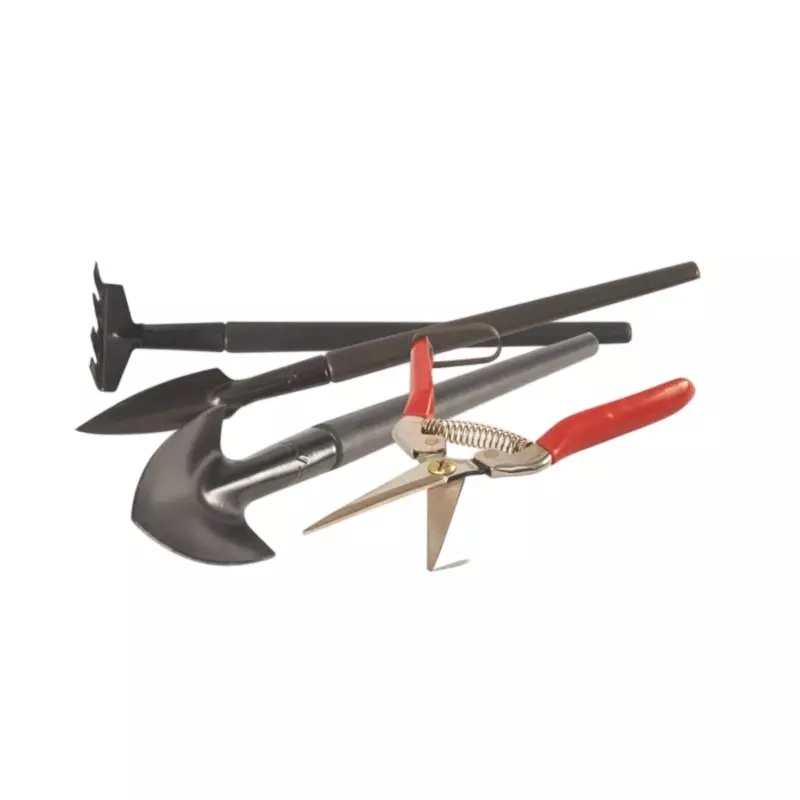 Tata Agrico 4 Pcs Bonsai Kit with Metal Blade and PVC Plastic Handle for Working in Garden, GTS104