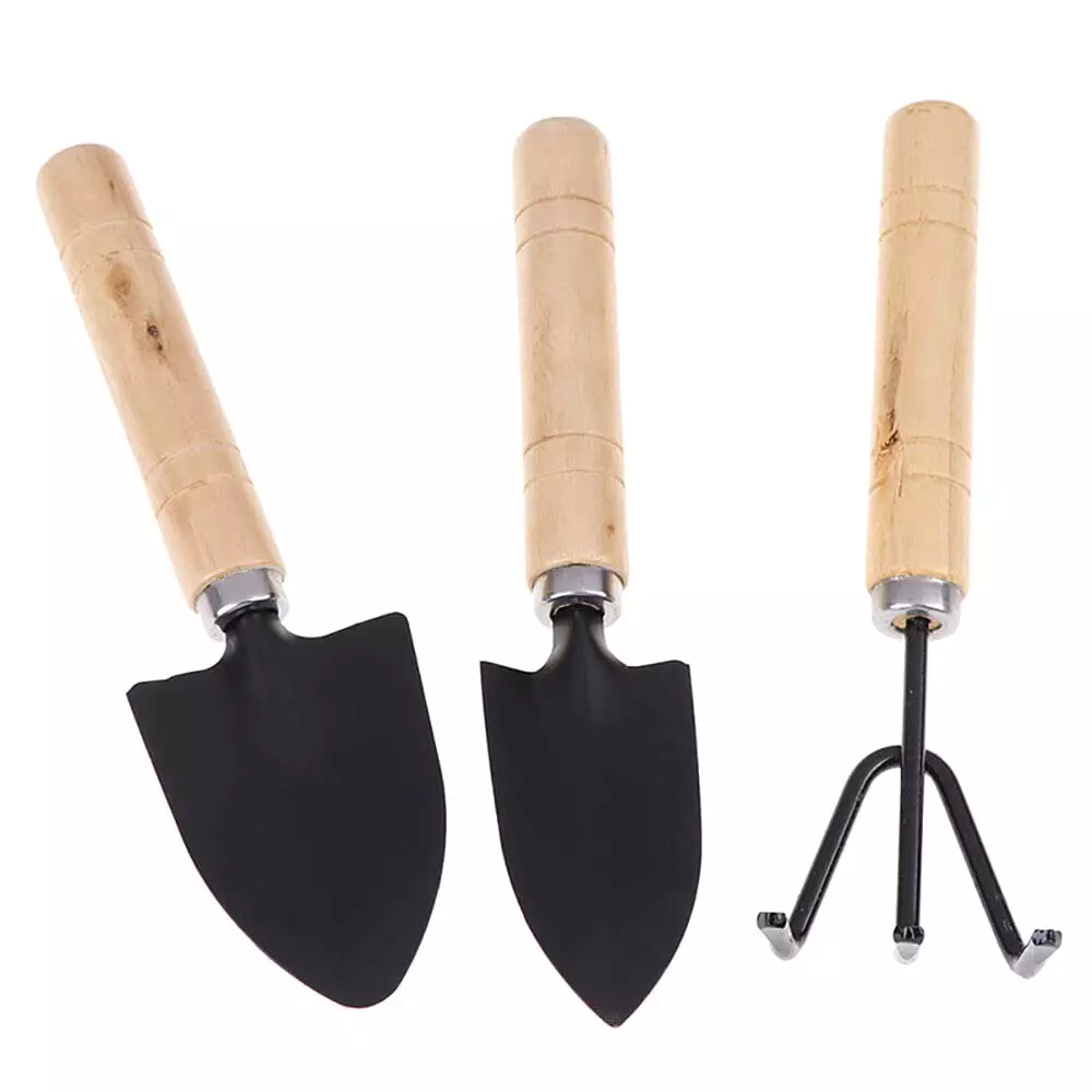 DY TOOLS Mini Plant Gardening Tools Set Iron with Wooden Handle, D2151 (Set of 3 Pcs)