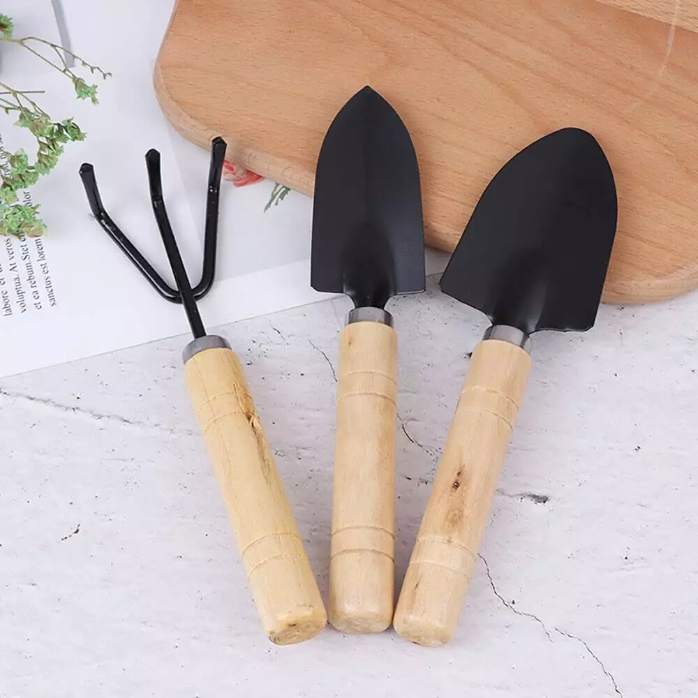 DY TOOLS Mini Plant Gardening Tools Set Iron with Wooden Handle, D2151 (Set of 3 Pcs)