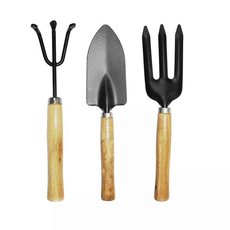 DY TOOLS Mini Plant Gardening Tools Set Iron with Wooden Handle, D21502 (Set of 3 Pcs)