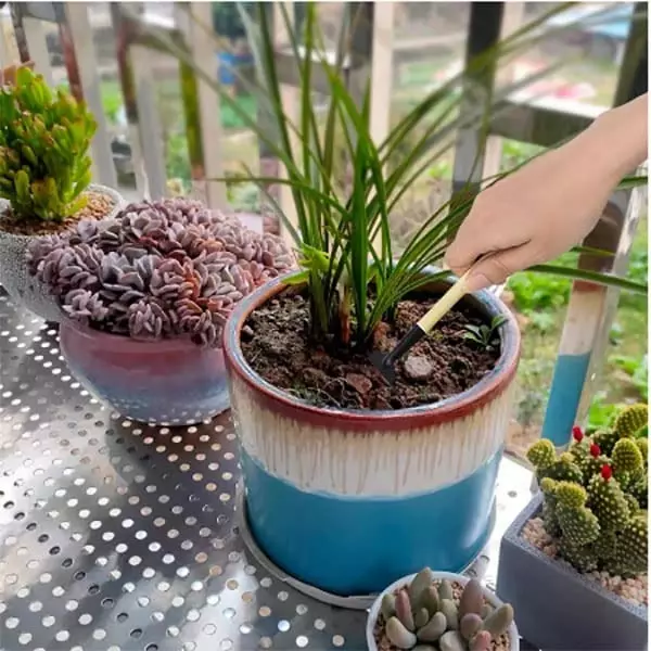 DY TOOLS Mini Plant Gardening Tools Set Iron with Wooden Handle, D21502 (Set of 3 Pcs)