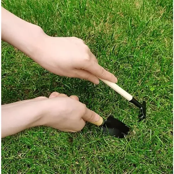 DY TOOLS Mini Plant Gardening Tools Set Iron with Wooden Handle, D21502 (Set of 3 Pcs)